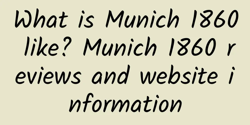 What is Munich 1860 like? Munich 1860 reviews and website information