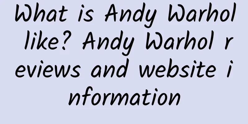 What is Andy Warhol like? Andy Warhol reviews and website information