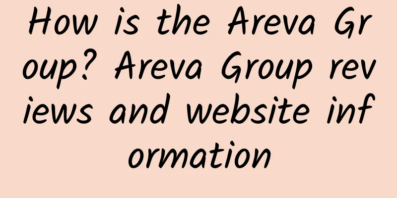 How is the Areva Group? Areva Group reviews and website information