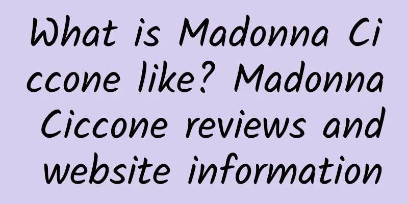 What is Madonna Ciccone like? Madonna Ciccone reviews and website information