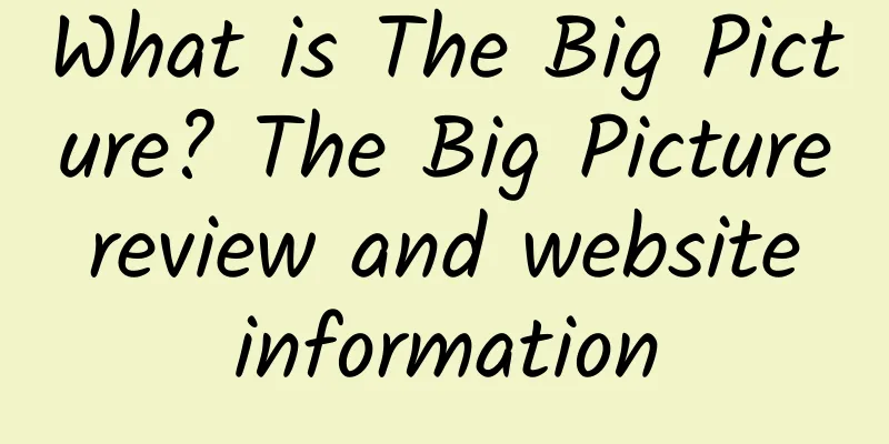 What is The Big Picture? The Big Picture review and website information