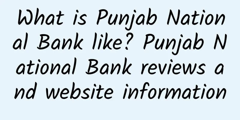 What is Punjab National Bank like? Punjab National Bank reviews and website information