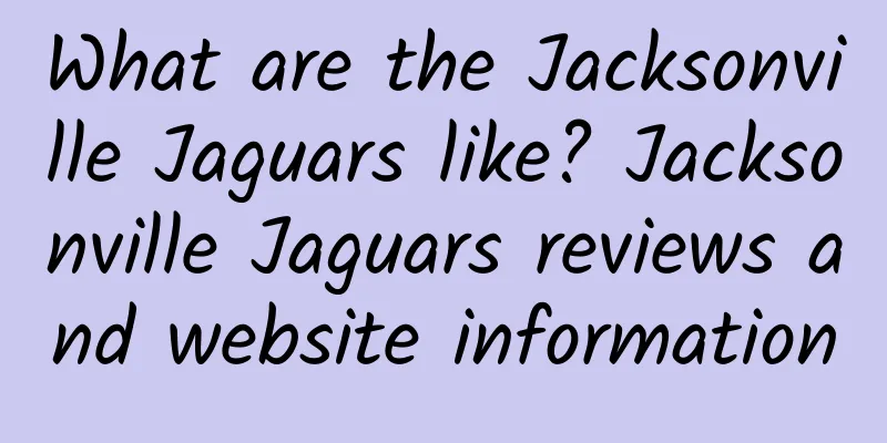 What are the Jacksonville Jaguars like? Jacksonville Jaguars reviews and website information