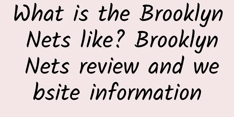 What is the Brooklyn Nets like? Brooklyn Nets review and website information