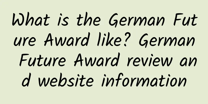What is the German Future Award like? German Future Award review and website information