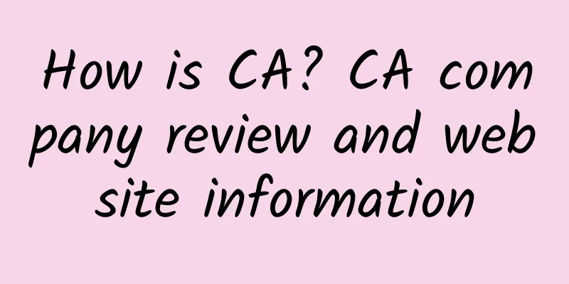 How is CA? CA company review and website information