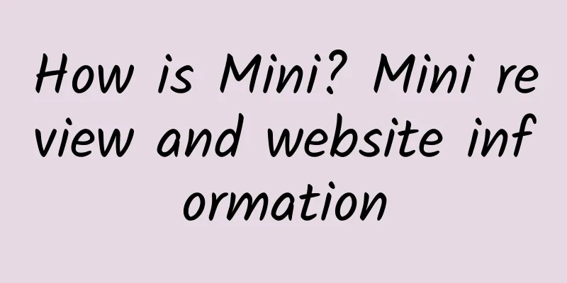 How is Mini? Mini review and website information