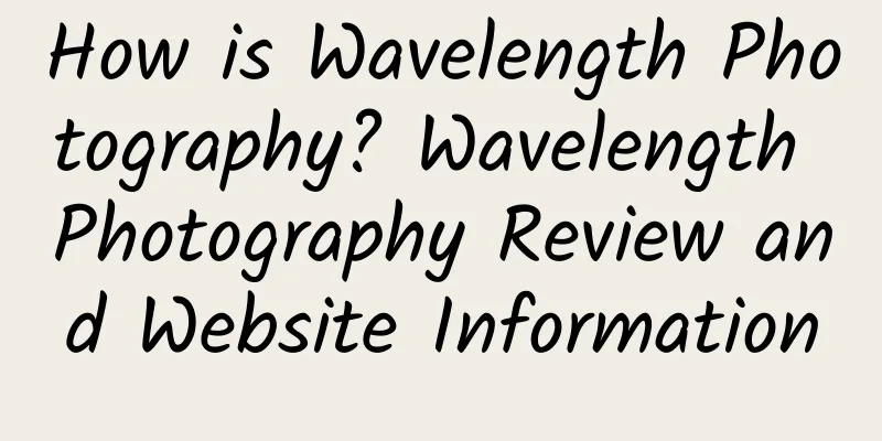 How is Wavelength Photography? Wavelength Photography Review and Website Information