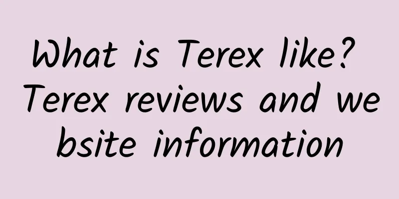 What is Terex like? Terex reviews and website information