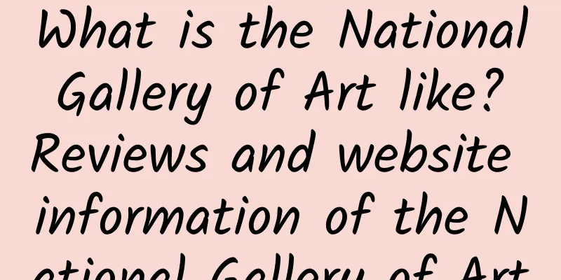 What is the National Gallery of Art like? Reviews and website information of the National Gallery of Art
