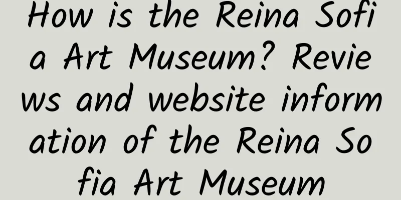 How is the Reina Sofia Art Museum? Reviews and website information of the Reina Sofia Art Museum