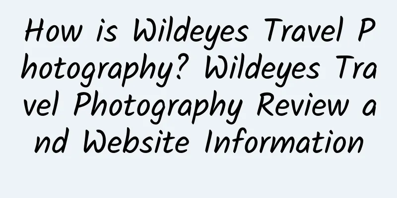 How is Wildeyes Travel Photography? Wildeyes Travel Photography Review and Website Information