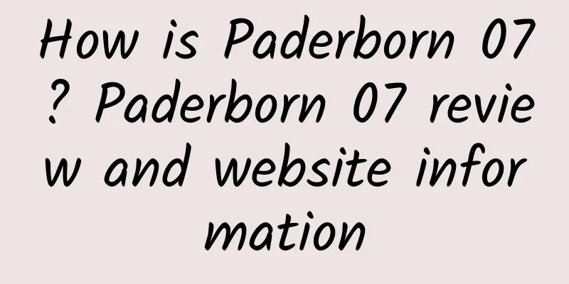 How is Paderborn 07? Paderborn 07 review and website information