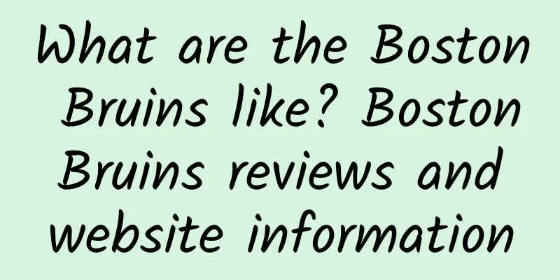 What are the Boston Bruins like? Boston Bruins reviews and website information