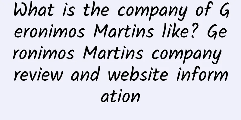 What is the company of Geronimos Martins like? Geronimos Martins company review and website information