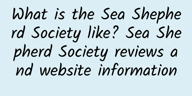 What is the Sea Shepherd Society like? Sea Shepherd Society reviews and website information