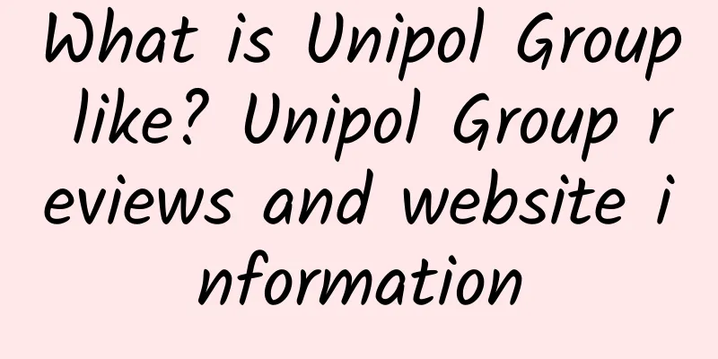 What is Unipol Group like? Unipol Group reviews and website information