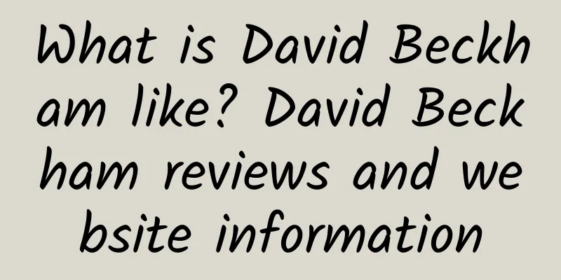 What is David Beckham like? David Beckham reviews and website information