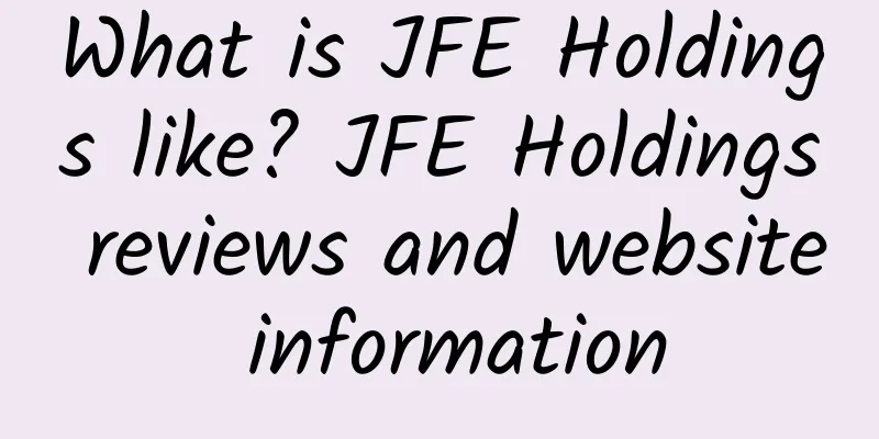 What is JFE Holdings like? JFE Holdings reviews and website information