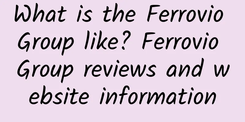 What is the Ferrovio Group like? Ferrovio Group reviews and website information