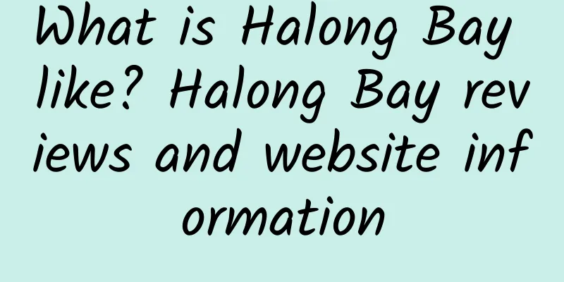 What is Halong Bay like? Halong Bay reviews and website information