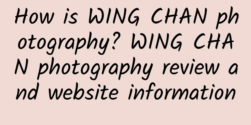 How is WING CHAN photography? WING CHAN photography review and website information