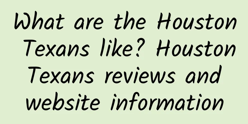 What are the Houston Texans like? Houston Texans reviews and website information