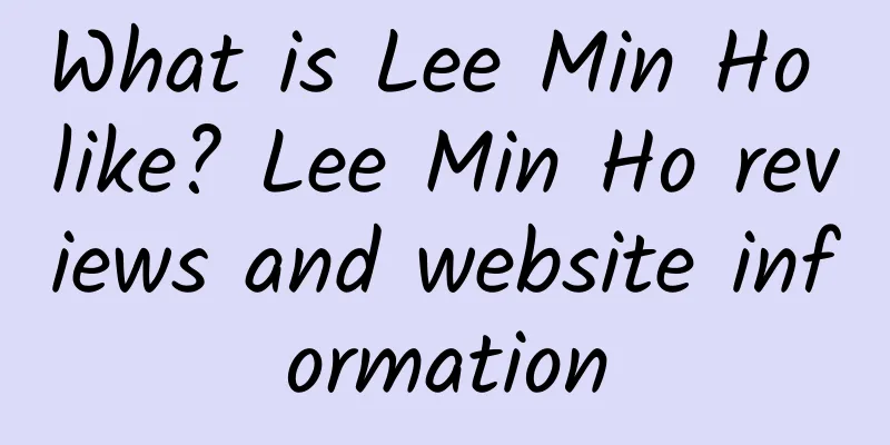 What is Lee Min Ho like? Lee Min Ho reviews and website information