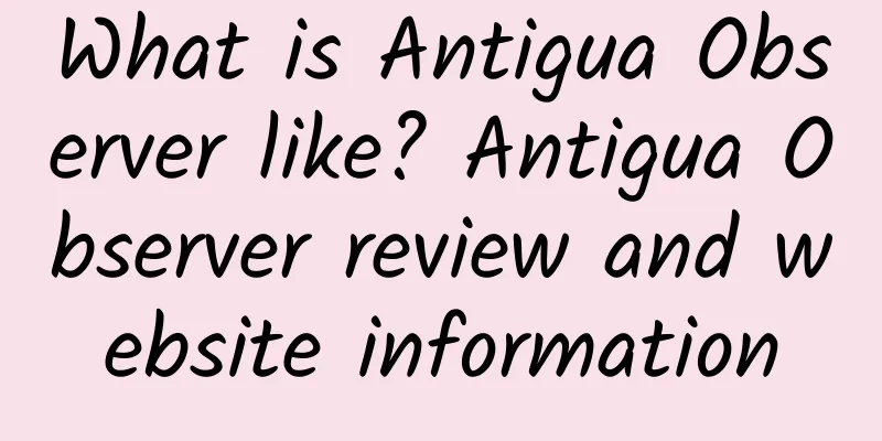 What is Antigua Observer like? Antigua Observer review and website information