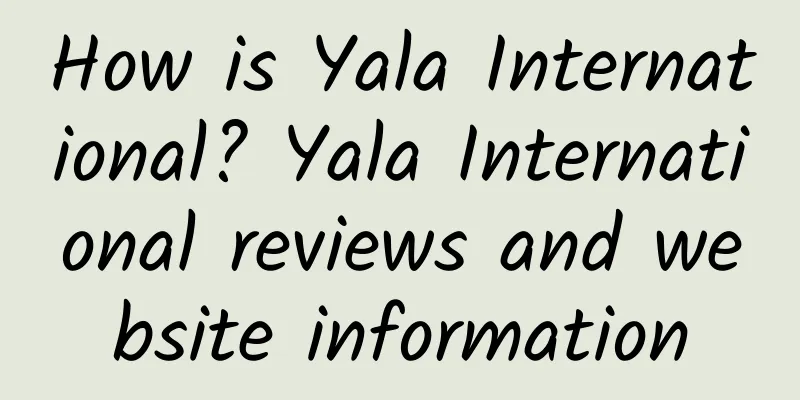 How is Yala International? Yala International reviews and website information