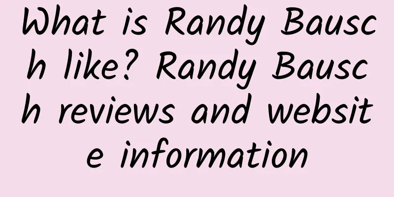 What is Randy Bausch like? Randy Bausch reviews and website information