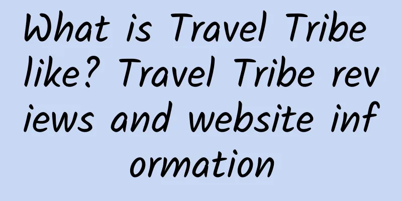What is Travel Tribe like? Travel Tribe reviews and website information