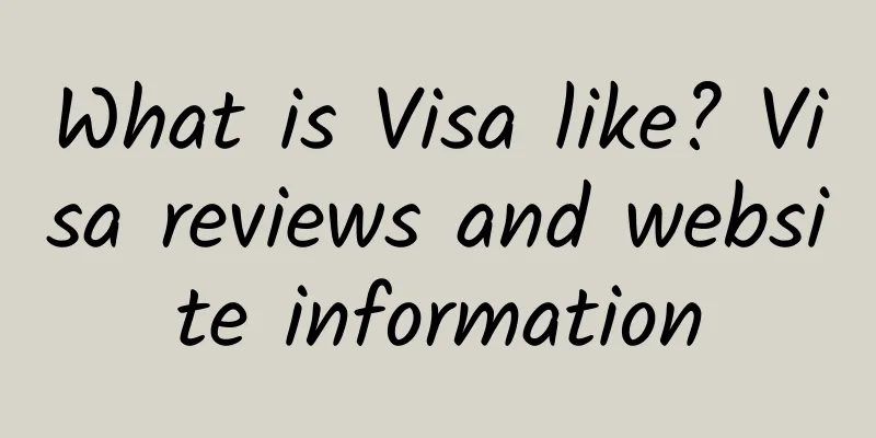 What is Visa like? Visa reviews and website information