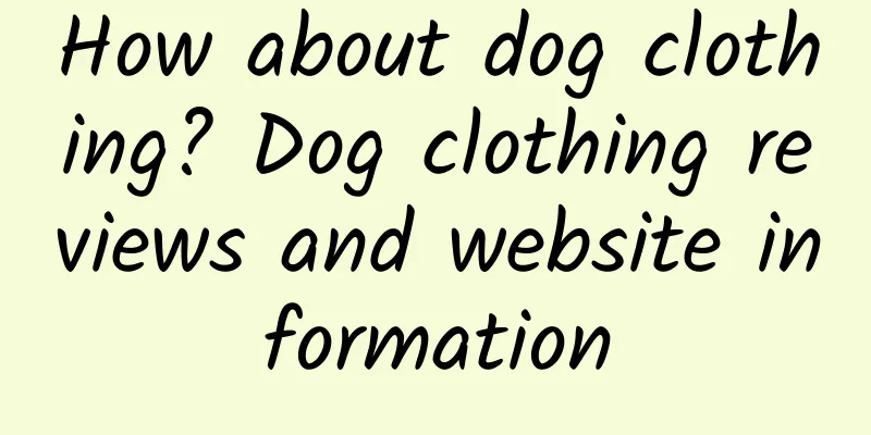 How about dog clothing? Dog clothing reviews and website information