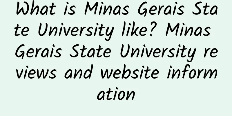 What is Minas Gerais State University like? Minas Gerais State University reviews and website information