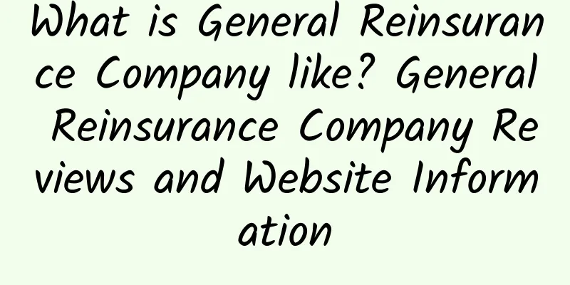 What is General Reinsurance Company like? General Reinsurance Company Reviews and Website Information