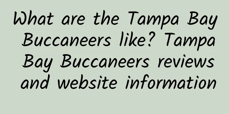 What are the Tampa Bay Buccaneers like? Tampa Bay Buccaneers reviews and website information