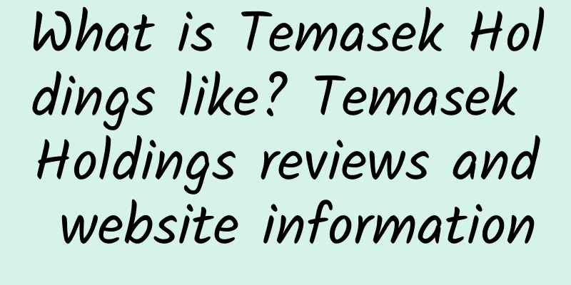 What is Temasek Holdings like? Temasek Holdings reviews and website information