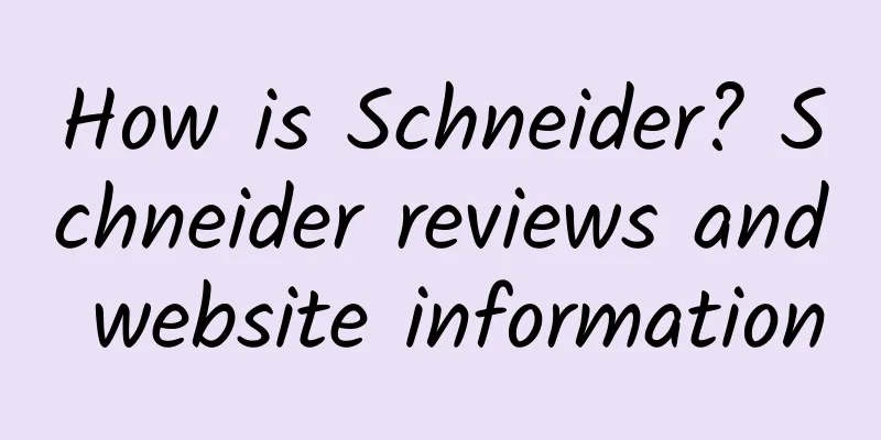 How is Schneider? Schneider reviews and website information