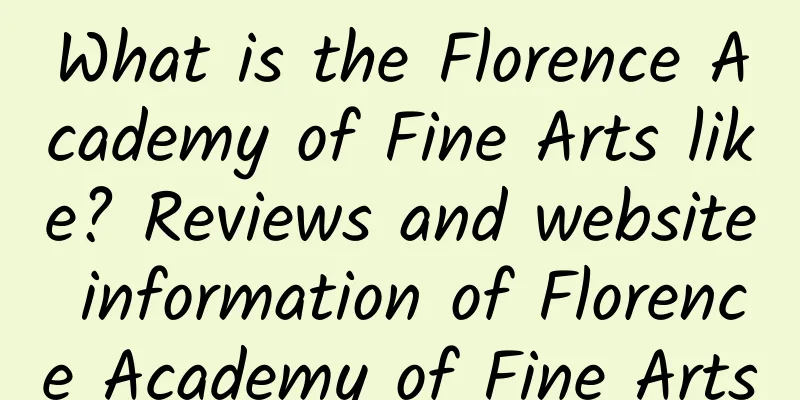 What is the Florence Academy of Fine Arts like? Reviews and website information of Florence Academy of Fine Arts