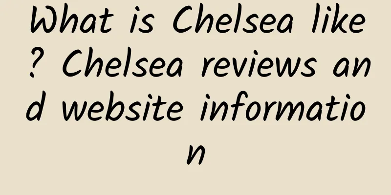 What is Chelsea like? Chelsea reviews and website information