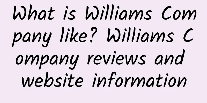 What is Williams Company like? Williams Company reviews and website information