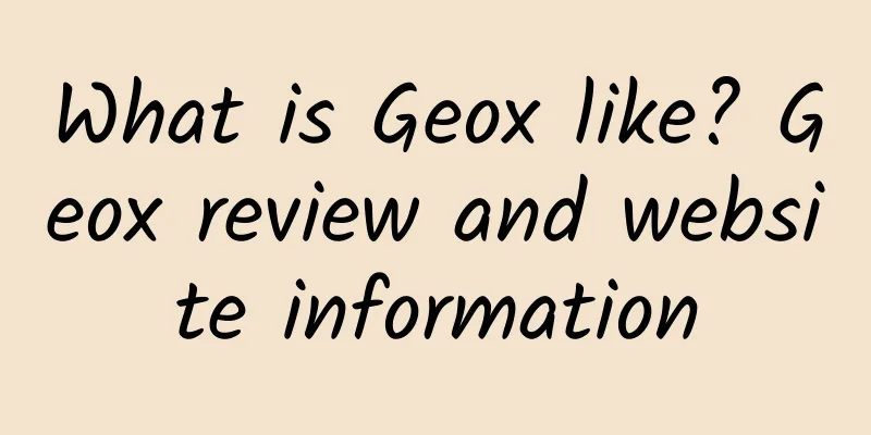 What is Geox like? Geox review and website information