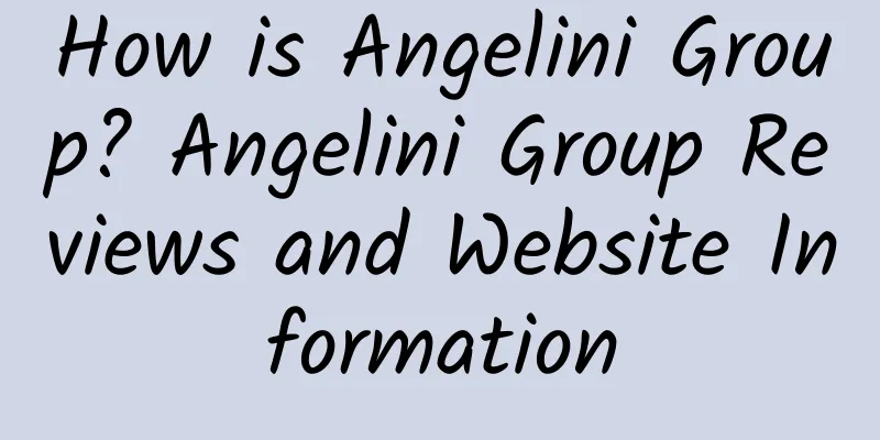 How is Angelini Group? Angelini Group Reviews and Website Information
