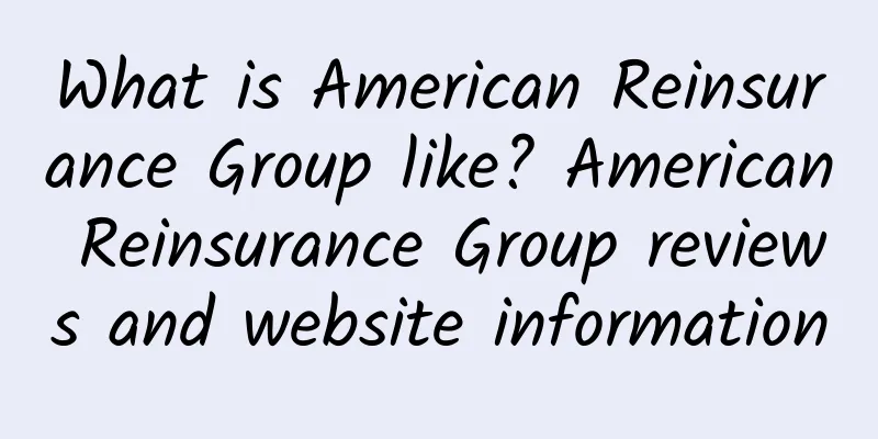 What is American Reinsurance Group like? American Reinsurance Group reviews and website information