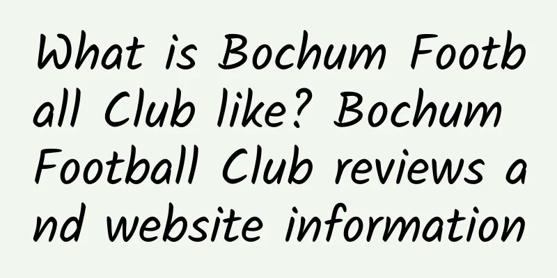 What is Bochum Football Club like? Bochum Football Club reviews and website information