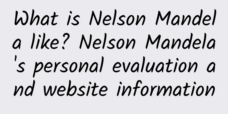 What is Nelson Mandela like? Nelson Mandela's personal evaluation and website information