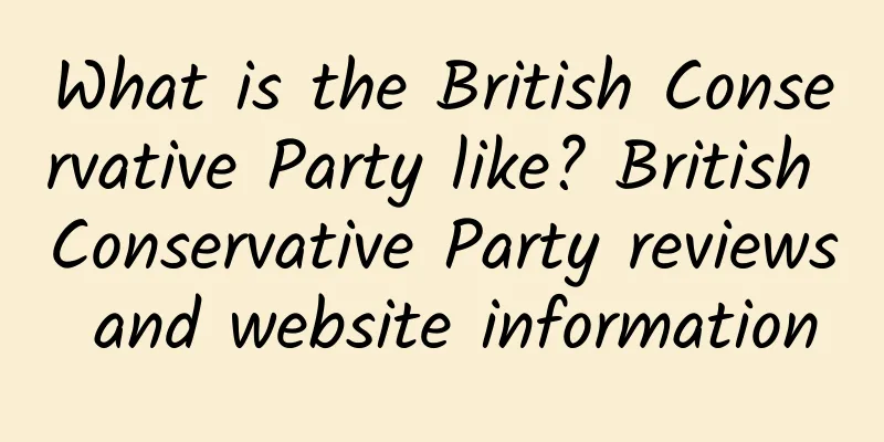 What is the British Conservative Party like? British Conservative Party reviews and website information