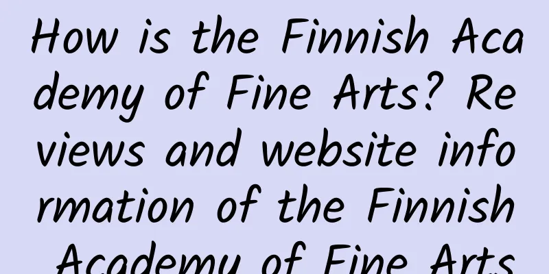 How is the Finnish Academy of Fine Arts? Reviews and website information of the Finnish Academy of Fine Arts