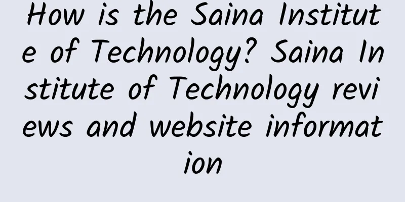 How is the Saina Institute of Technology? Saina Institute of Technology reviews and website information